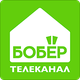 Бобёр