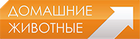 Домашние животные